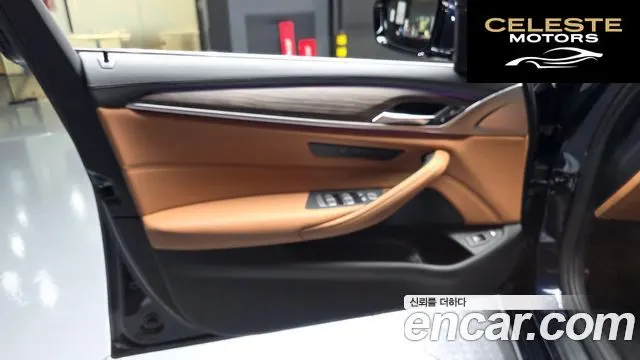 BMW Série 5 (G30) 530e Luxury 2020 — photo 14 sur 30