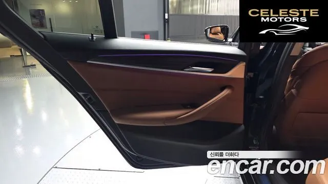 BMW Série 5 (G30) 530e Luxury 2020 — photo 15 sur 30