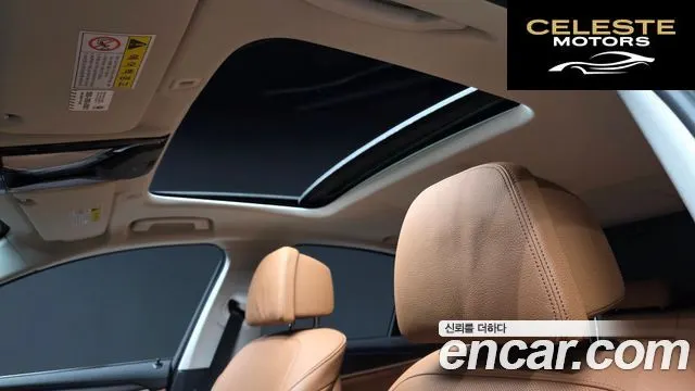 BMW Série 5 (G30) 530e Luxury 2020 — photo 24 sur 30