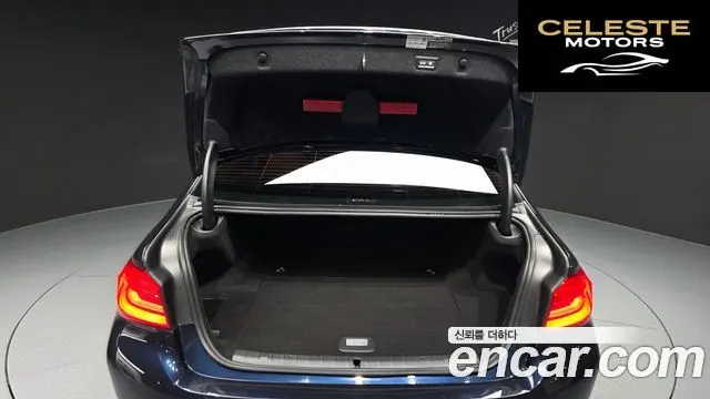 BMW Série 5 (G30) 530e Luxury 2020 — photo 26 sur 30