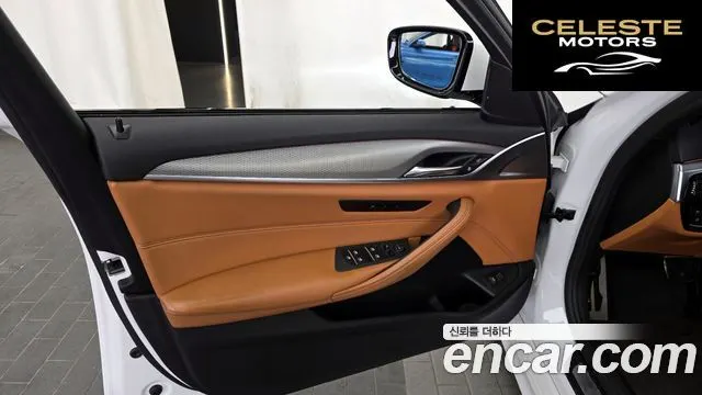 BMW Série 5 (G30) 530i xDrive M Sport 2017 — photo 14 sur 31