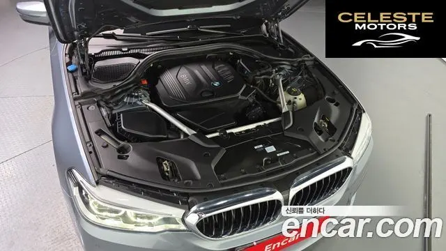BMW Série 5 (G30) 520d xDrive M Sport Plus 2018 — photo 6 sur 37