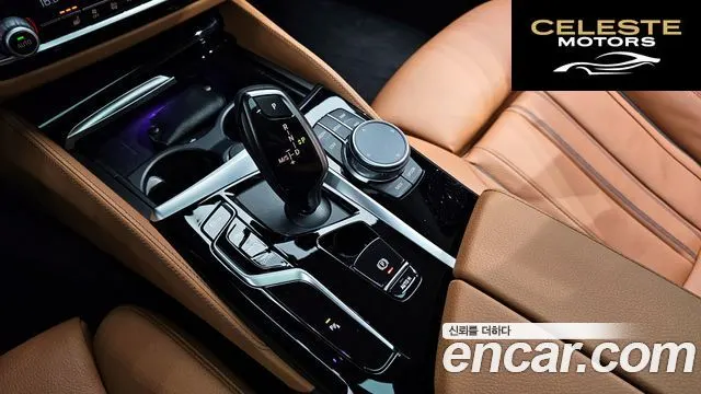 BMW Série 5 (G30) 520i Luxury 2022 — photo 9 sur 20