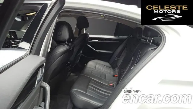 BMW Série 5 (G30) 520i Luxury 2018 — photo 11 sur 20