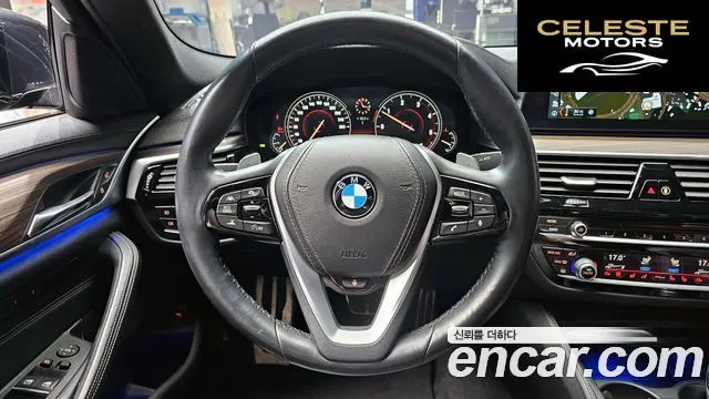 BMW Série 5 (G30) 520d M Sport Plus 2017 — photo 19 sur 30