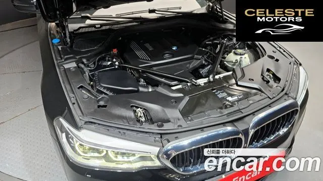 BMW Série 5 (G30) 520d M Sport Plus 2017 — photo 6 sur 30