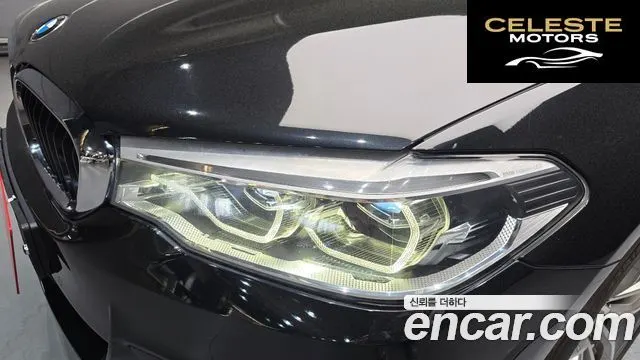 BMW Série 5 (G30) 520d M Sport Plus 2017 — photo 8 sur 30