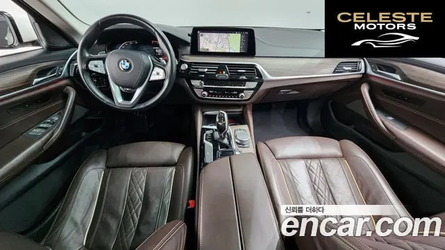 BMW Série 5 (G30) 520d xDrive Luxury Plus 2020 — photo 10 sur 36