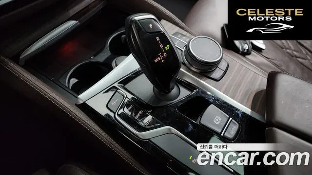 BMW Série 5 (G30) 520d xDrive Luxury Plus 2020 — photo 12 sur 36