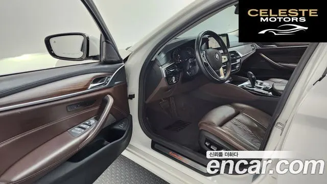BMW Série 5 (G30) 520d xDrive Luxury Plus 2020 — photo 13 sur 36