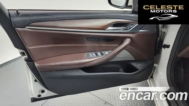 BMW Série 5 (G30) 520d xDrive Luxury Plus 2020 — photo 14 sur 36