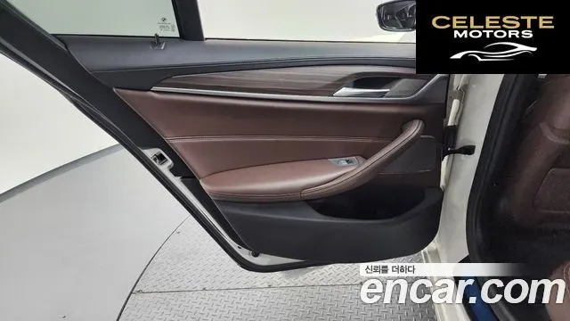BMW Série 5 (G30) 520d xDrive Luxury Plus 2020 — photo 15 sur 36