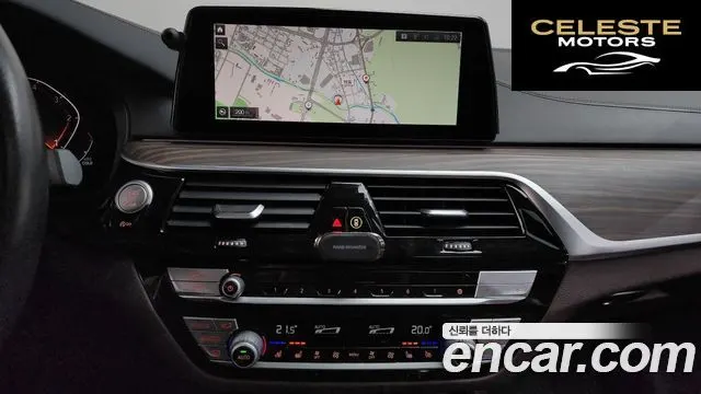 BMW Série 5 (G30) 520d xDrive Luxury Plus 2020 — photo 19 sur 36