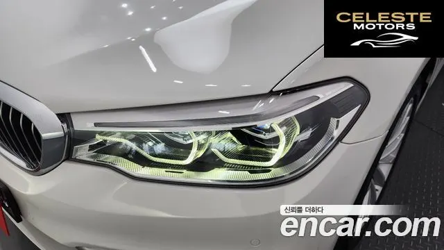 BMW Série 5 (G30) 520d xDrive Luxury Plus 2020 — photo 8 sur 36