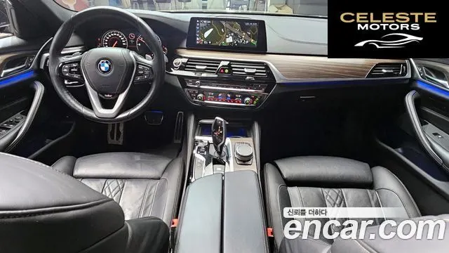 BMW Série 5 (G30) 520d M Sport Plus 2017 — photo 10 sur 30