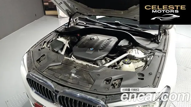 BMW Série 5 (G30) 530d Luxury Plus 2018 — photo 6 sur 20