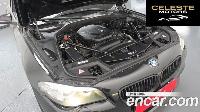 BMW Série 5 (F10) 520d 2015 — photo 6 sur 20