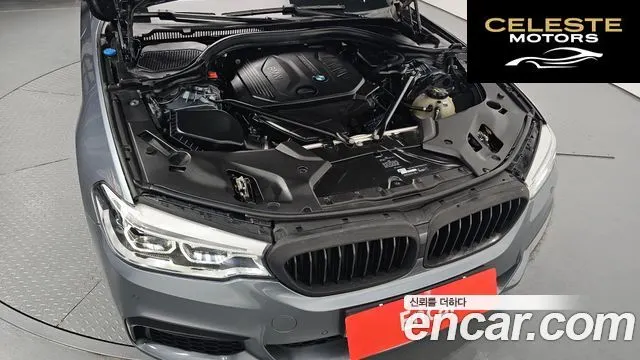 BMW Série 5 (G30) 520d M Sport 2017 — photo 6 sur 39