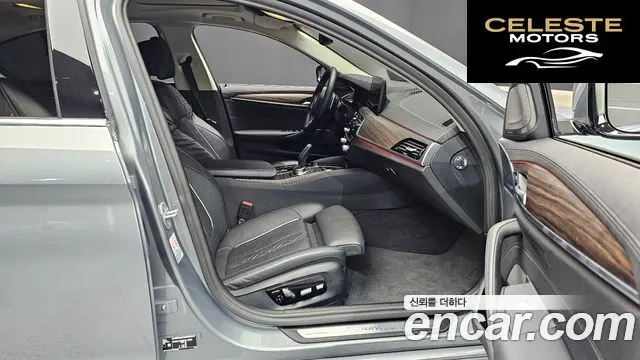 BMW Série 5 (G30) 530e Luxury 2023 — photo 17 sur 30