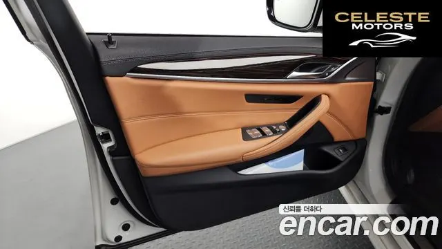 BMW Série 5 (G30) 520i Luxury 2023 — photo 14 sur 39