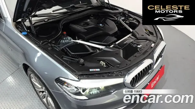 BMW Série 5 (G30) 520i Luxury 2018 — photo 6 sur 20