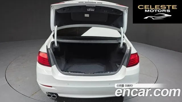 BMW Série 5 (F10) 520d xDrive 2014 — photo 20 sur 20