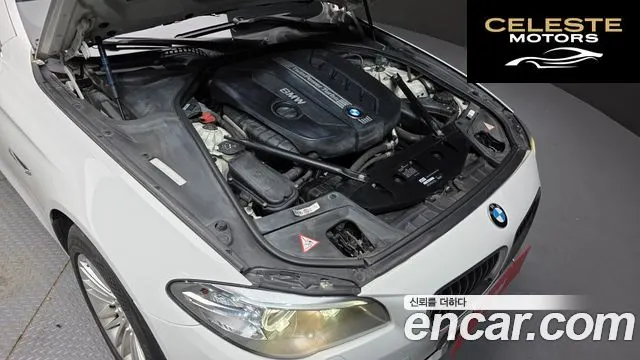 BMW Série 5 (F10) 520d xDrive 2014 — photo 6 sur 20