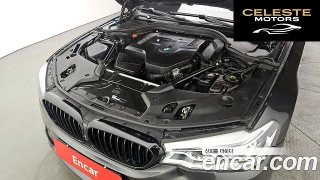 BMW Série 5 (G30) 530i xDrive M Sport Plus 2018 — photo 6 sur 20