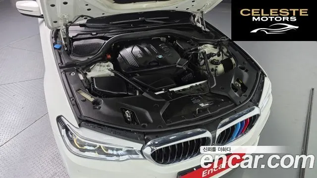 BMW Série 5 (G30) 520d xDrive M Sport Plus 2018 — photo 6 sur 31