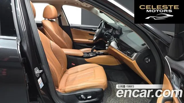 BMW Série 5 (G30) 520i Luxury 2020 — photo 10 sur 20