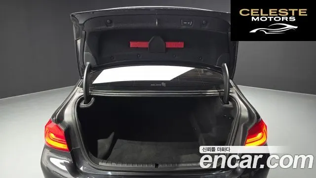BMW Série 5 (G30) 520i Luxury 2020 — photo 20 sur 20