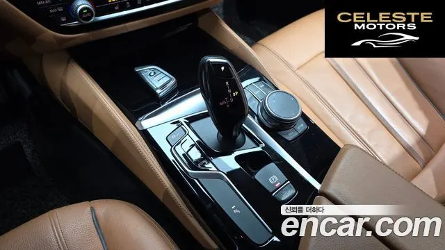 BMW Série 5 (G30) 520i Luxury 2020 — photo 9 sur 20