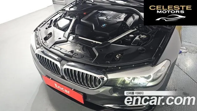 BMW Série 5 (G30) 520i Luxury 2020 — photo 6 sur 35