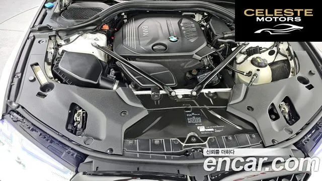 BMW Série 5 (G30) 520d Luxury Spécial Edition 2018 — photo 6 sur 26