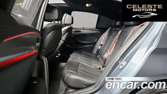 BMW Série 5 (G30) 520d M Sport Plus 2019 — photo 18 sur 30