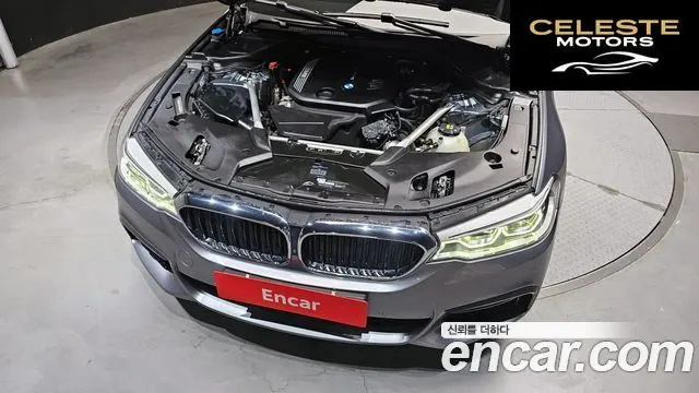 BMW Série 5 (G30) 520d M Sport Plus 2019 — photo 6 sur 30