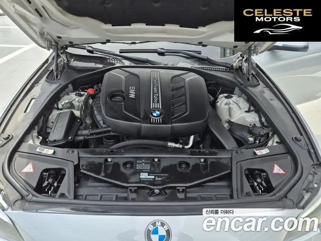 BMW Série 5 (F10) 520d 2014 — photo 19 sur 26