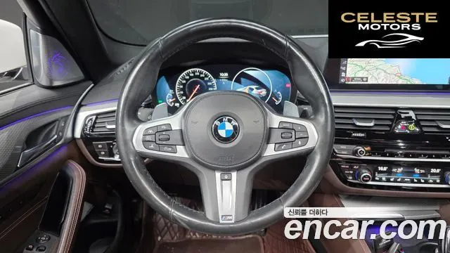 BMW Série 5 (G30) 520d M Sport Plus 2019 — photo 13 sur 20