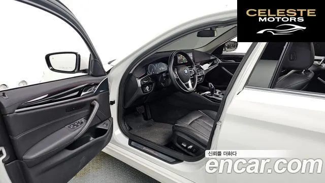 BMW Série 5 (G30) 520i Luxury 2019 — photo 10 sur 20