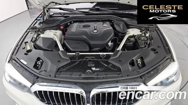 BMW Série 5 (G30) 520i Luxury 2019 — photo 6 sur 20