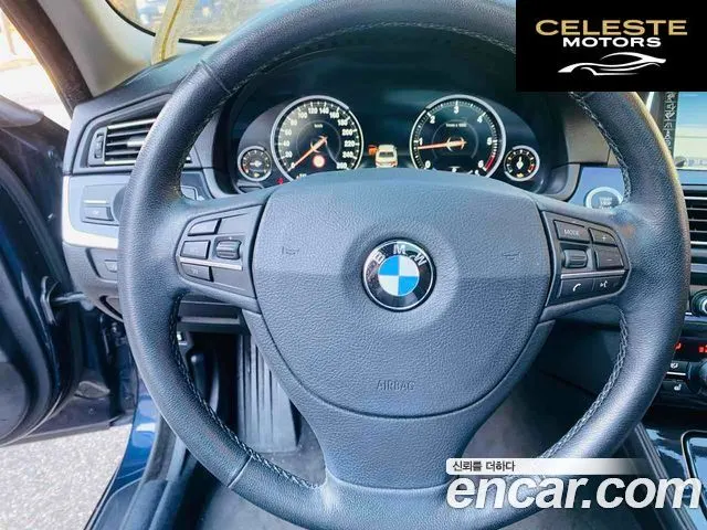 BMW Série 5 (F10) 520d xDrive 2014 — photo 10 sur 20