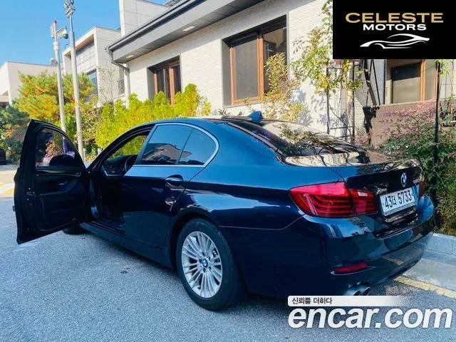 BMW Série 5 (F10) 520d xDrive 2014 — photo 20 sur 20