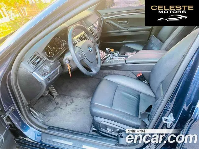 BMW Série 5 (F10) 520d xDrive 2014 — photo 9 sur 20