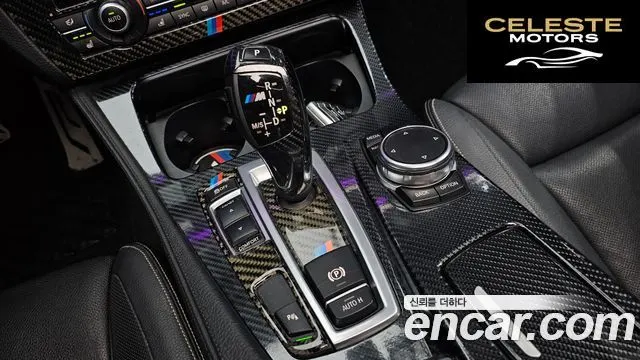 BMW Série 5 (F10) 520d Luxury Plus 2015 — photo 11 sur 33