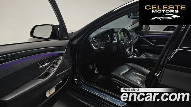 BMW Série 5 (F10) 520d Luxury Plus 2015 — photo 12 sur 33