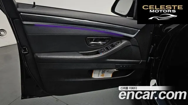 BMW Série 5 (F10) 520d Luxury Plus 2015 — photo 13 sur 33