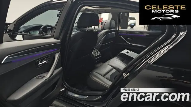 BMW Série 5 (F10) 520d Luxury Plus 2015 — photo 16 sur 33