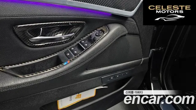 BMW Série 5 (F10) 520d Luxury Plus 2015 — photo 22 sur 33