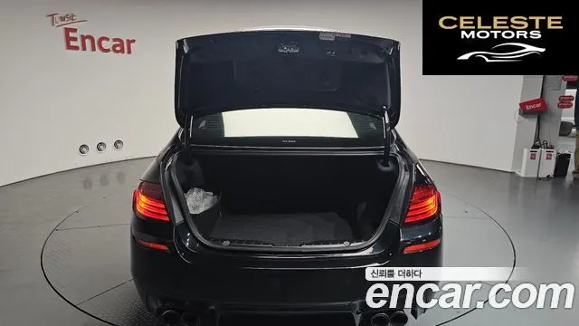 BMW Série 5 (F10) 520d Luxury Plus 2015 — photo 26 sur 33