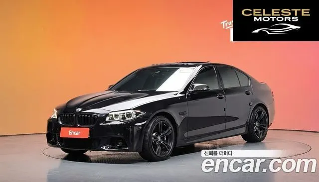 BMW Série 5 (F10) 520d Luxury Plus 2015 — photo 33 sur 33